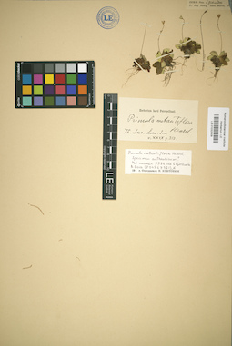 LE 01032009