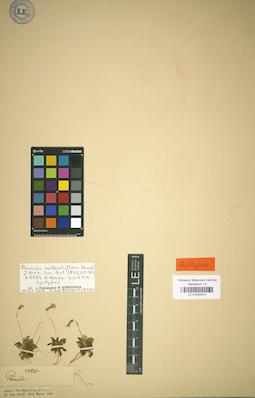 LE 01032010