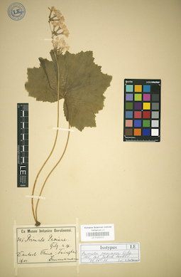 LE 01032012