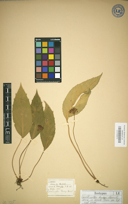 LE 01032014