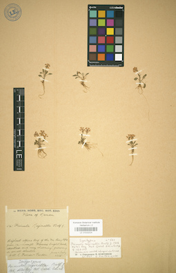 LE 01032024