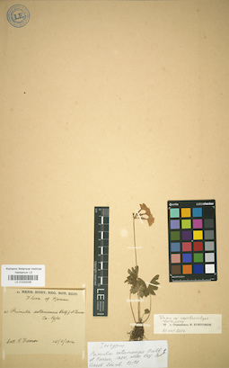 LE 01032026