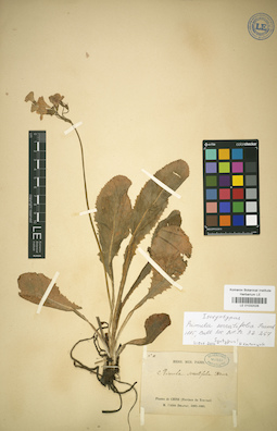 LE 01032028