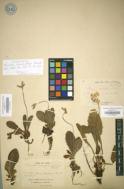 LE 01032030