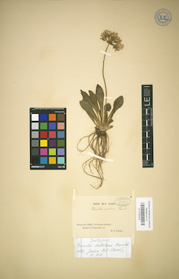 LE 01032032