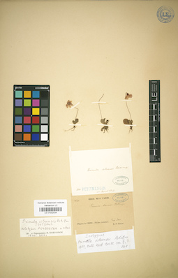 LE 01032034
