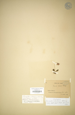 LE 01032035
