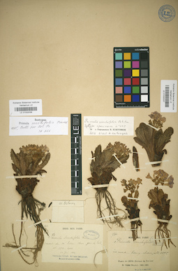 LE 01032038