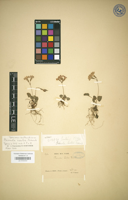 LE 01032040