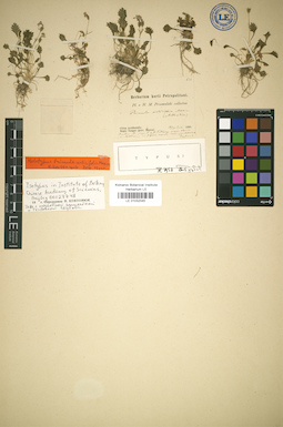 LE 01032045