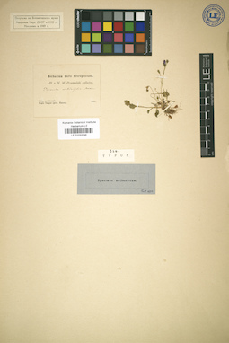 LE 01032046