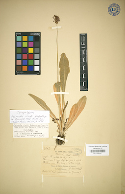 LE 01032047