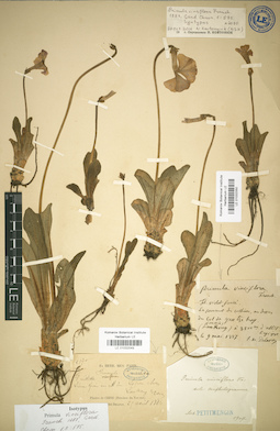 LE 01032050