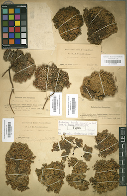 LE 01032087
