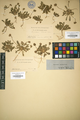 LE 01032089