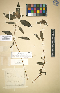 LE 01032214