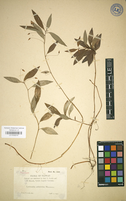 LE 01032215