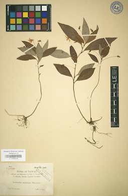 LE 01032216