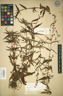 LE 01032218