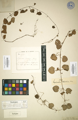LE 01032222