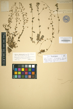 LE 01032224