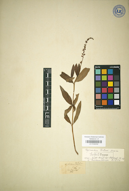 LE 01032230