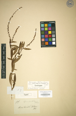 LE 01032231