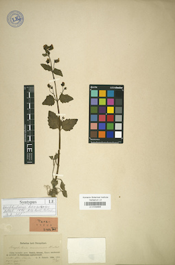 LE 01034606
