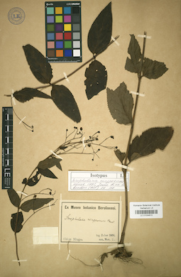 LE 01034610