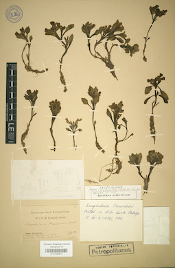LE 01034612