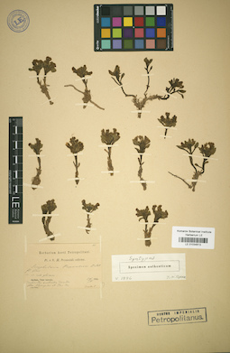 LE 01034613