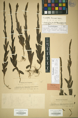 LE 01034616