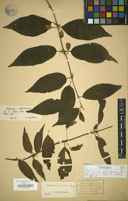 LE 01034617