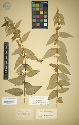 LE 01034619
