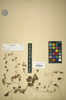 LE 01034624