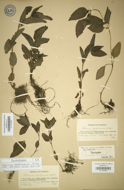 LE 01034630