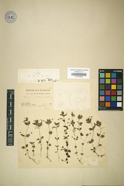 LE 01034633