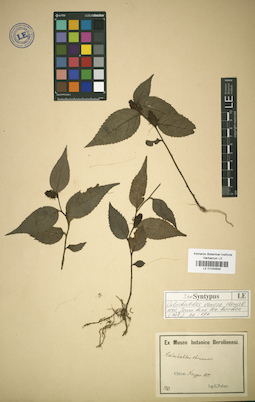 LE 01034648