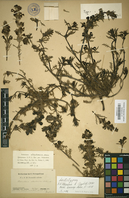 LE 01034655