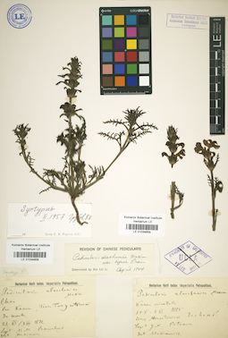 LE 01034659