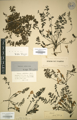 LE 01034662