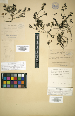 LE 01034666