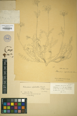 LE 01034669