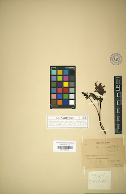 LE 01034670