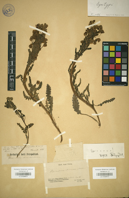 LE 01034672