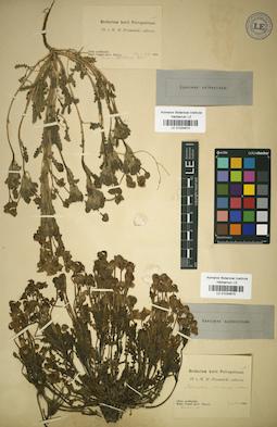 LE 01034675