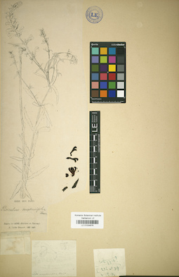 LE 01034676