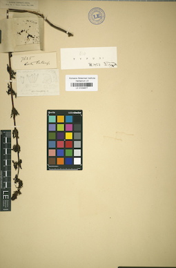 LE 01034677