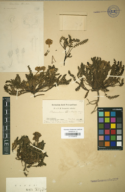 LE 01034678