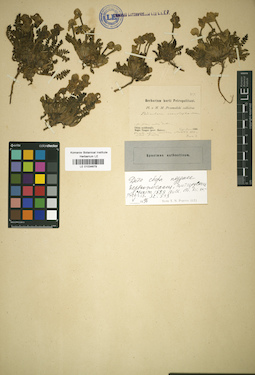 LE 01034679